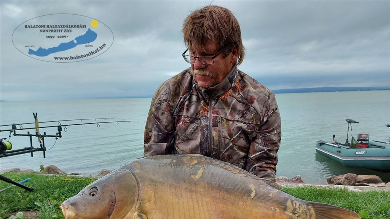 Harminc kilós pontyot fogott ki egy horgász a Balatonból