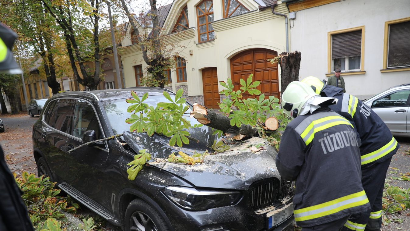 Gesztenyefa zúzta össze a méregdrága BMW-t Kaposváron
