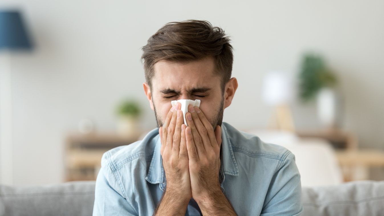 Otthon is megtámadhat minket az allergia
