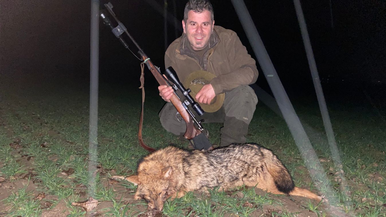 Rekordméretű nádi farkast ejtettek el Somogyban
