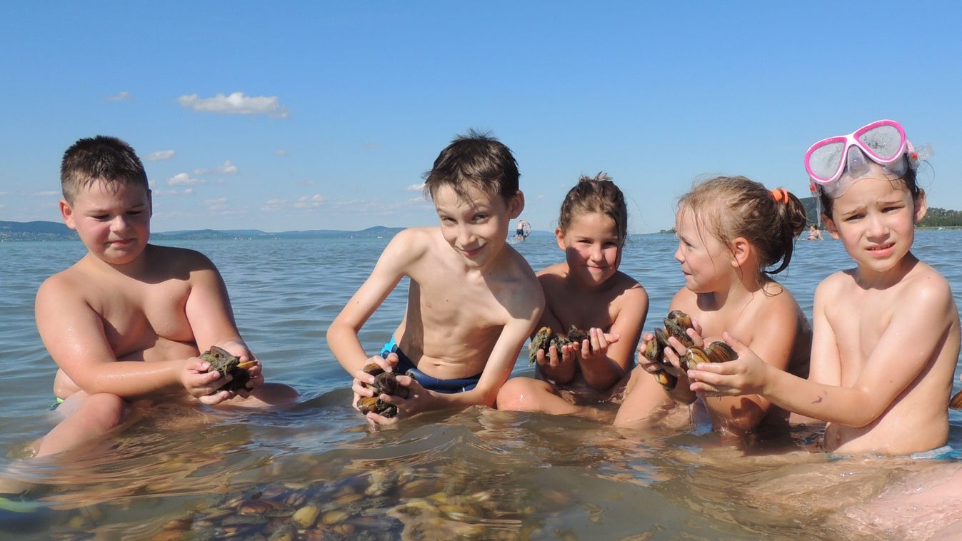 Strandolóknak bosszúság, a halaknak lakoma