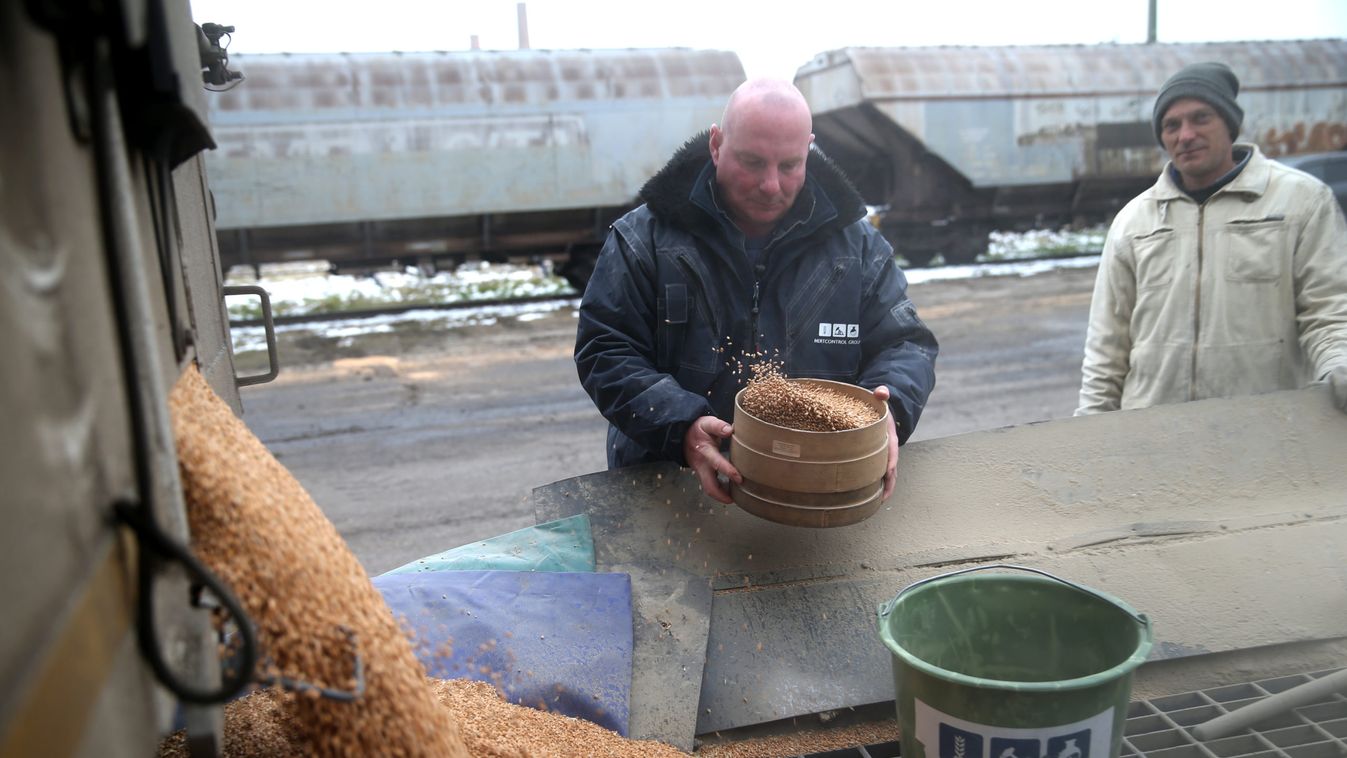 Külföldre tart már a somogyi gabona