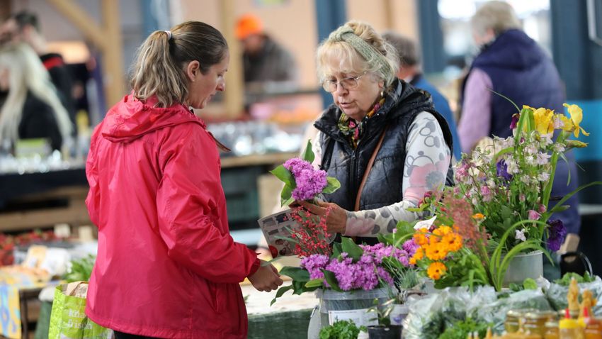 SONLINE – Fotókon mutatjuk mit láttunk a kaposvári piacon