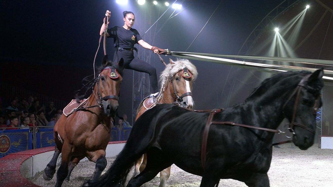 Világrekordot állított fel Zamárdiban a cirkusz hercegnője
