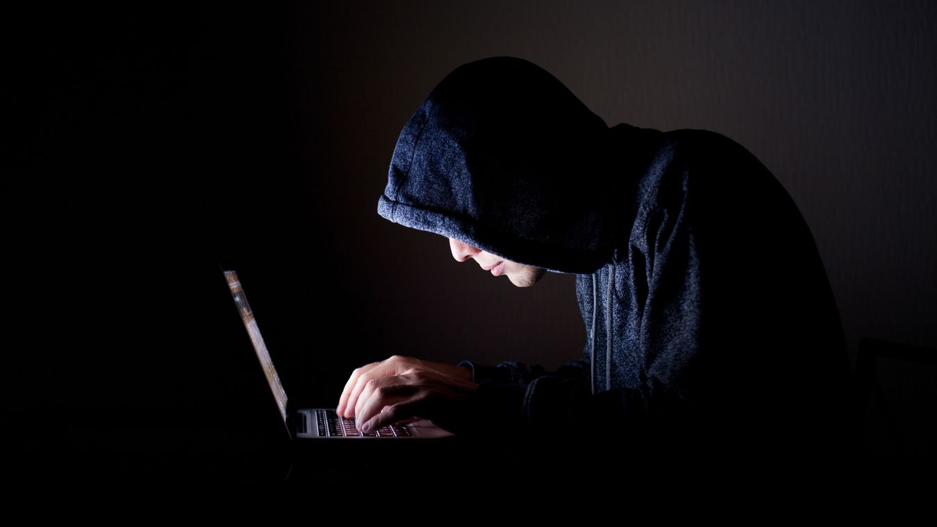 Ötszáz embert vert át az internetes csaló
