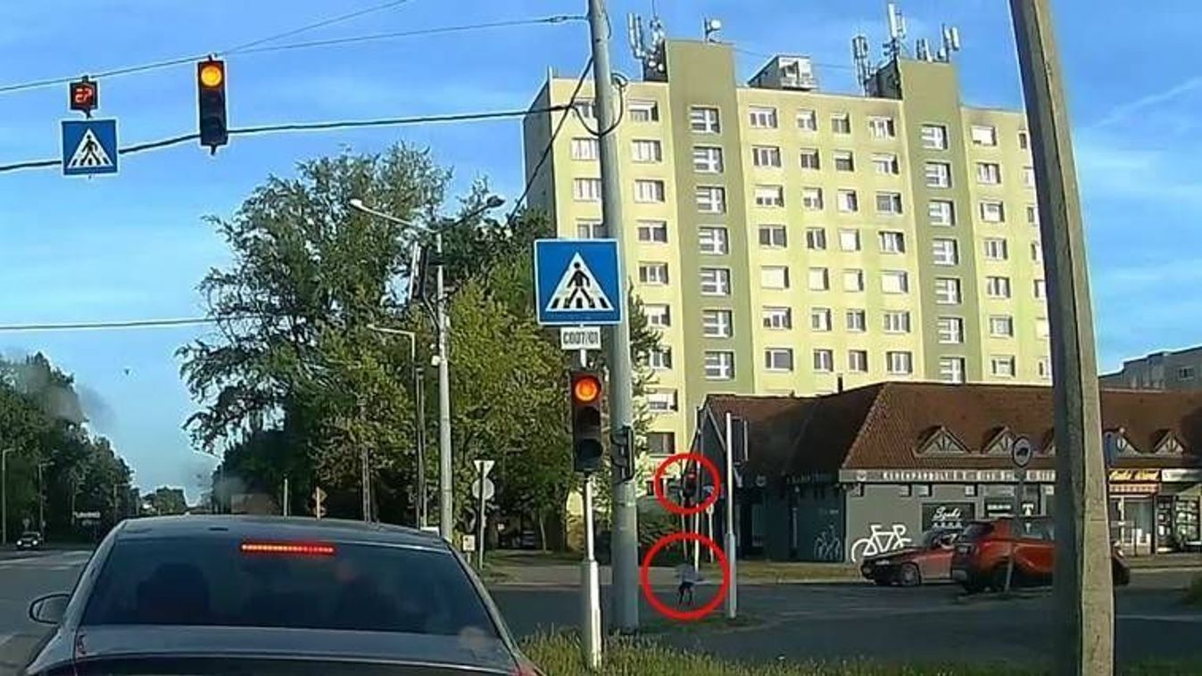 Futóbiciklivel szökött meg egy hároméves kislány, kész csoda hogy túlélte (videó)