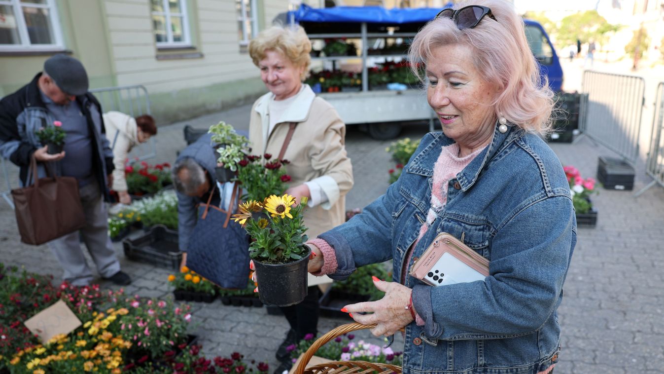 SONLINE – Tizenötezer virág várta a kaposváriakat a színes vásáron
