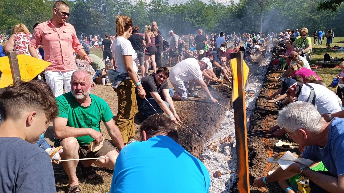 Szalonnasütés világrekord született Szántódpusztán: 723-an ragadtak nyársat
