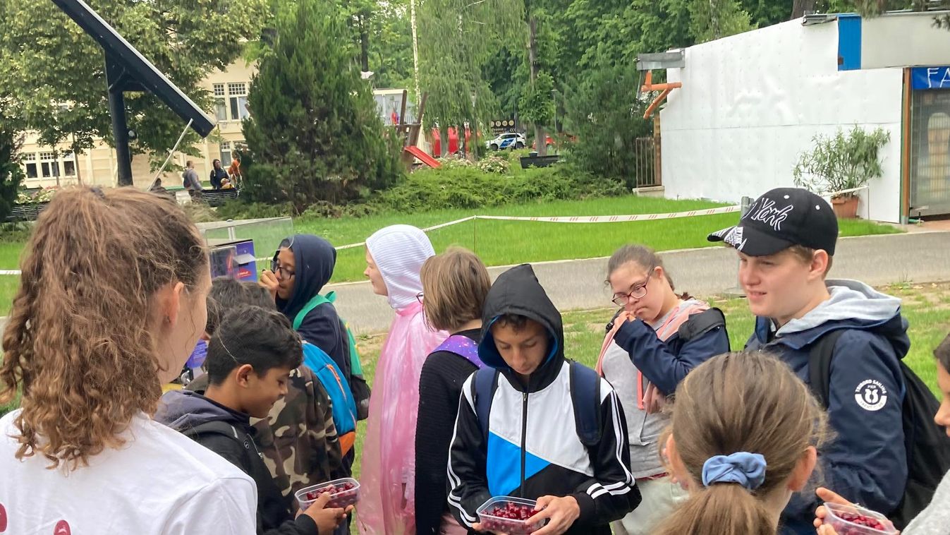 Az átlagnál kevesebb termésre számítanak