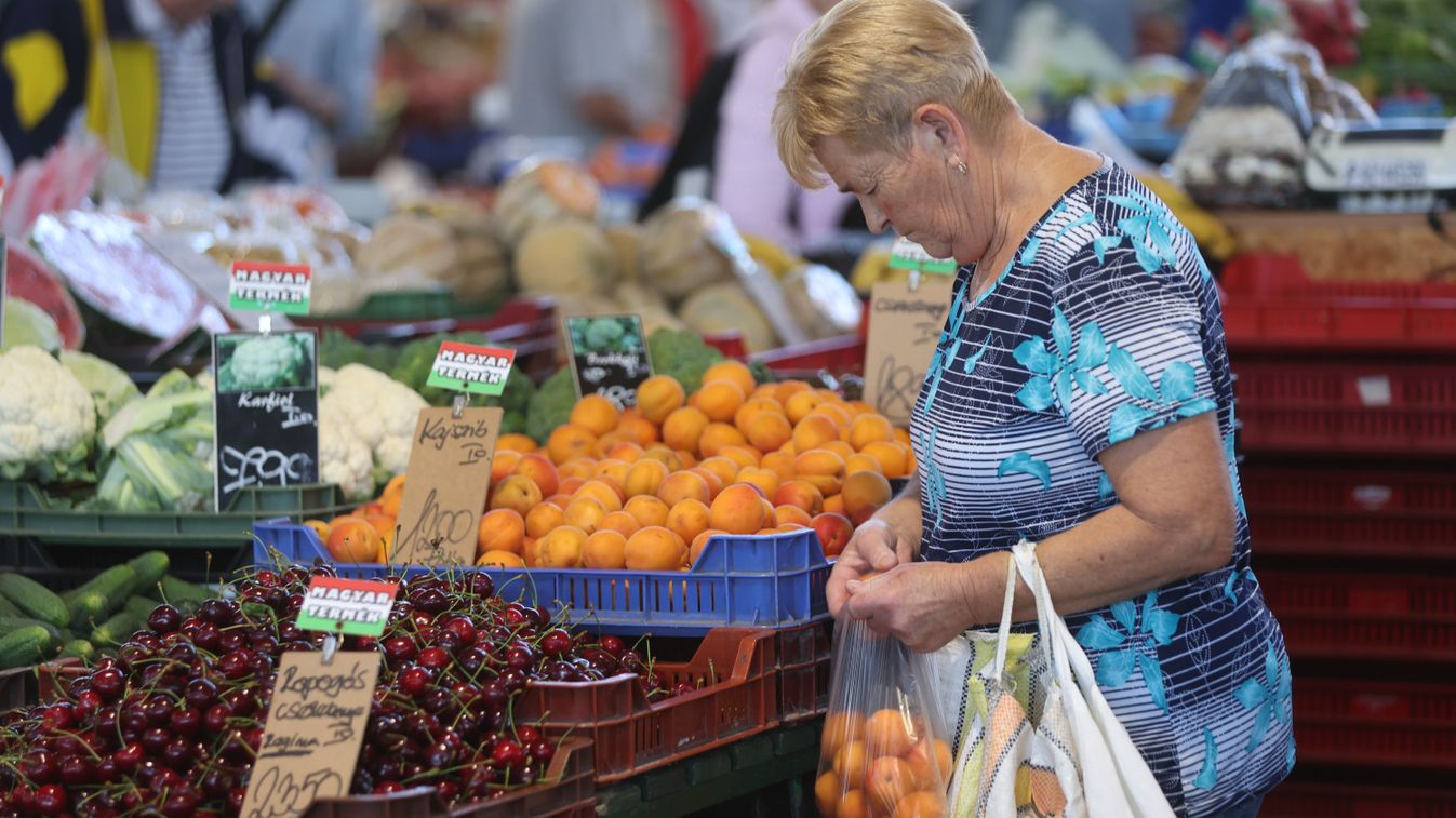 Ennél jobb kajszitermésről álmodni se mertek