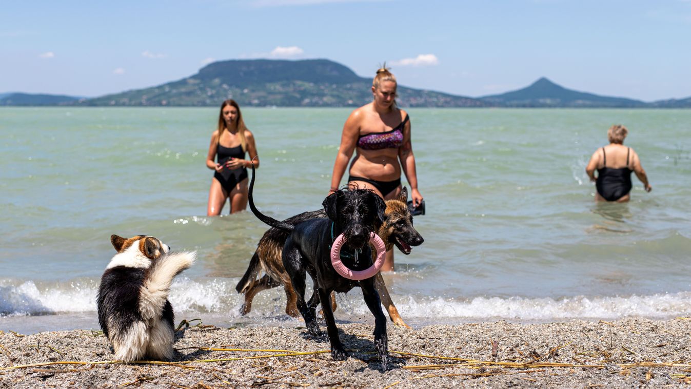 Kitehették volna a megtelt táblát Fonyódra