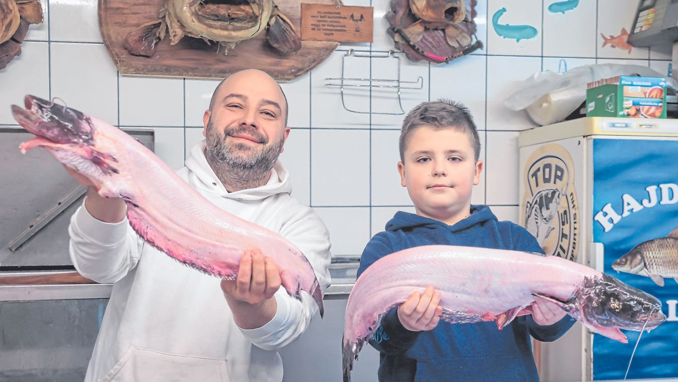 Vasban gazdag ételek segíthetik a változást