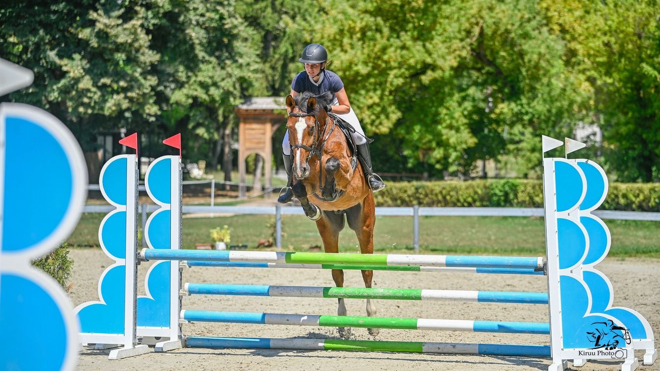 Competitors at Bannon Equestrian Academy proved themselves in the National Preparatory Competition.