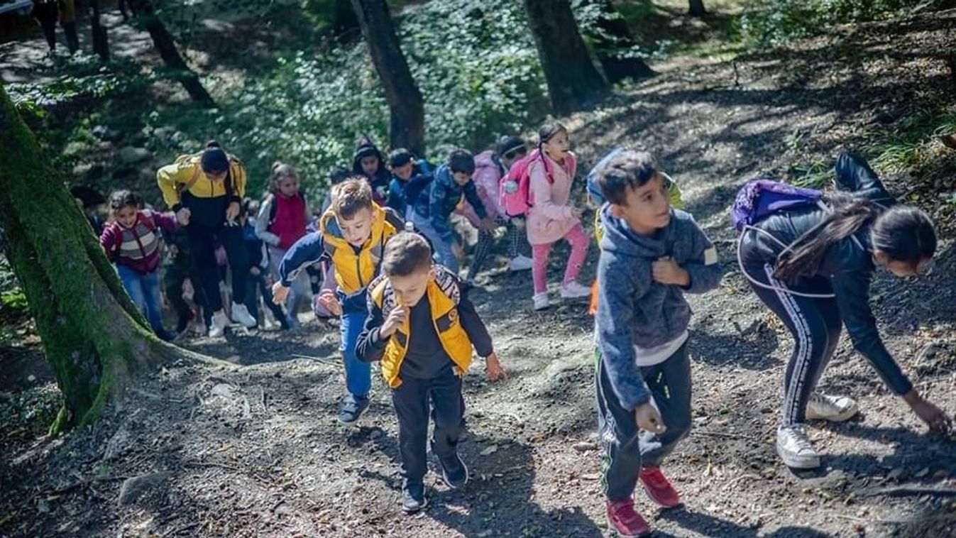 Somogyban élhetik át az erdei kalandot a hátrányos helyzetű gyerekek