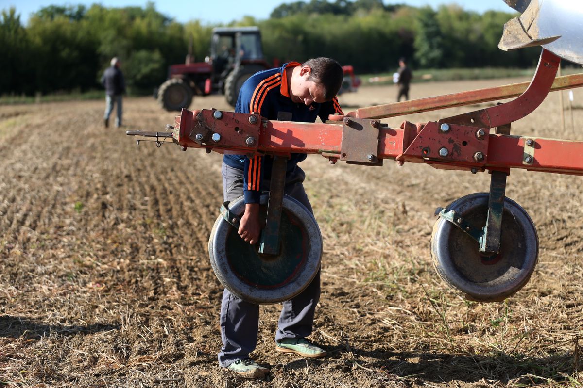 A területalapú támogatási rendszer átalakítása beláthatatlan következményekkel járna a magyar mezőgazdaságra és a gazdákra