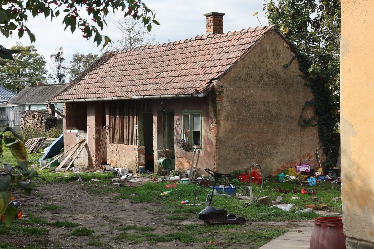 zákány, gyerekgyilkosság