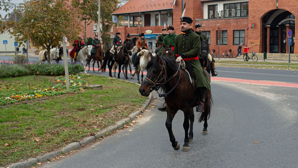 zrínyi, huszár, barcs, bandérium