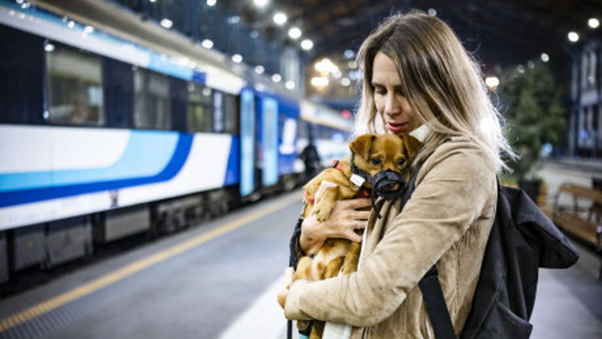 Borul az esti vonatközlekedés: így juthatnak Budapestre az utasok