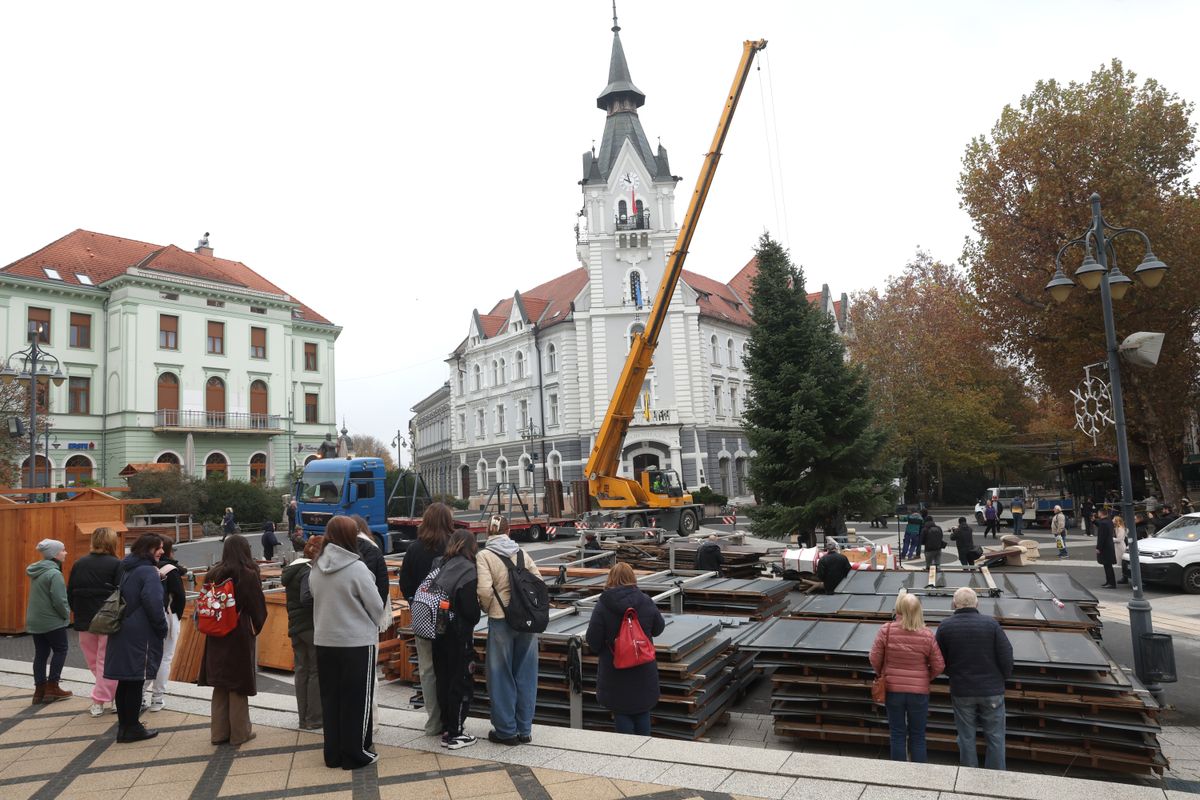 A fenyőfa lassan a helyére került Kaposvár főterén