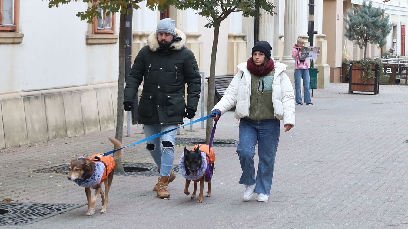 Erős széllel támad az enyhe idő