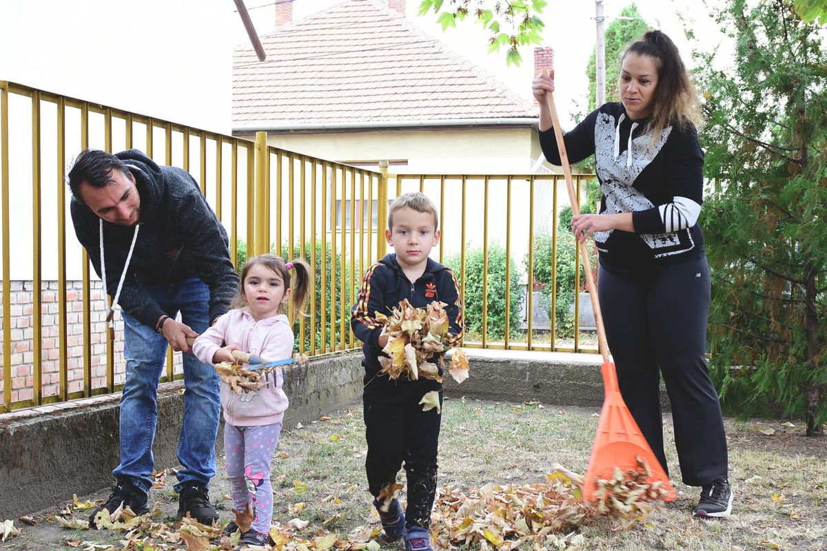 Jelenleg 17 alkalommal viszik el az ingatlanok elől a zöldhulladékot Kaposváron.