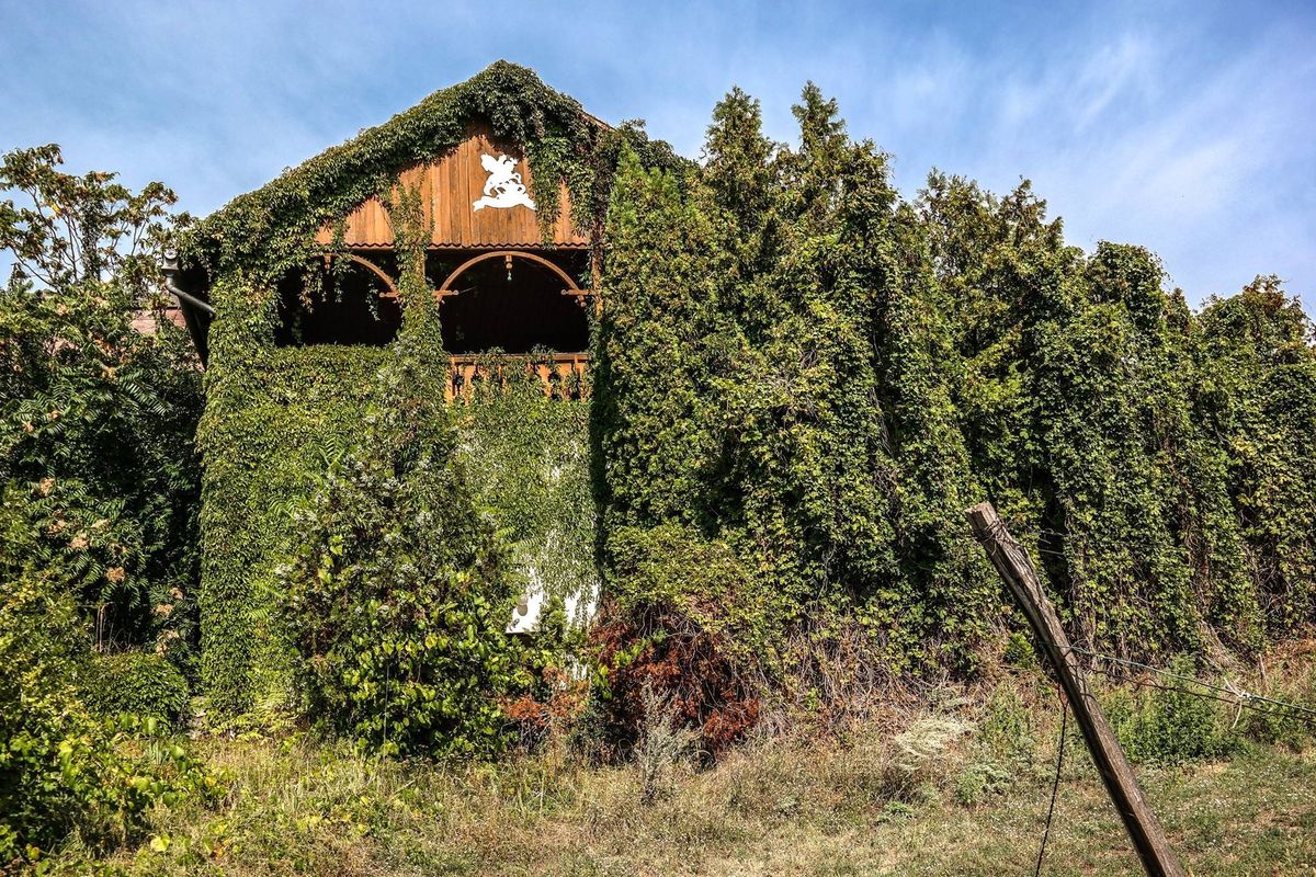 balatoni villa