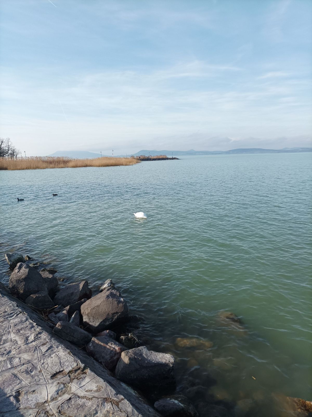 balaton