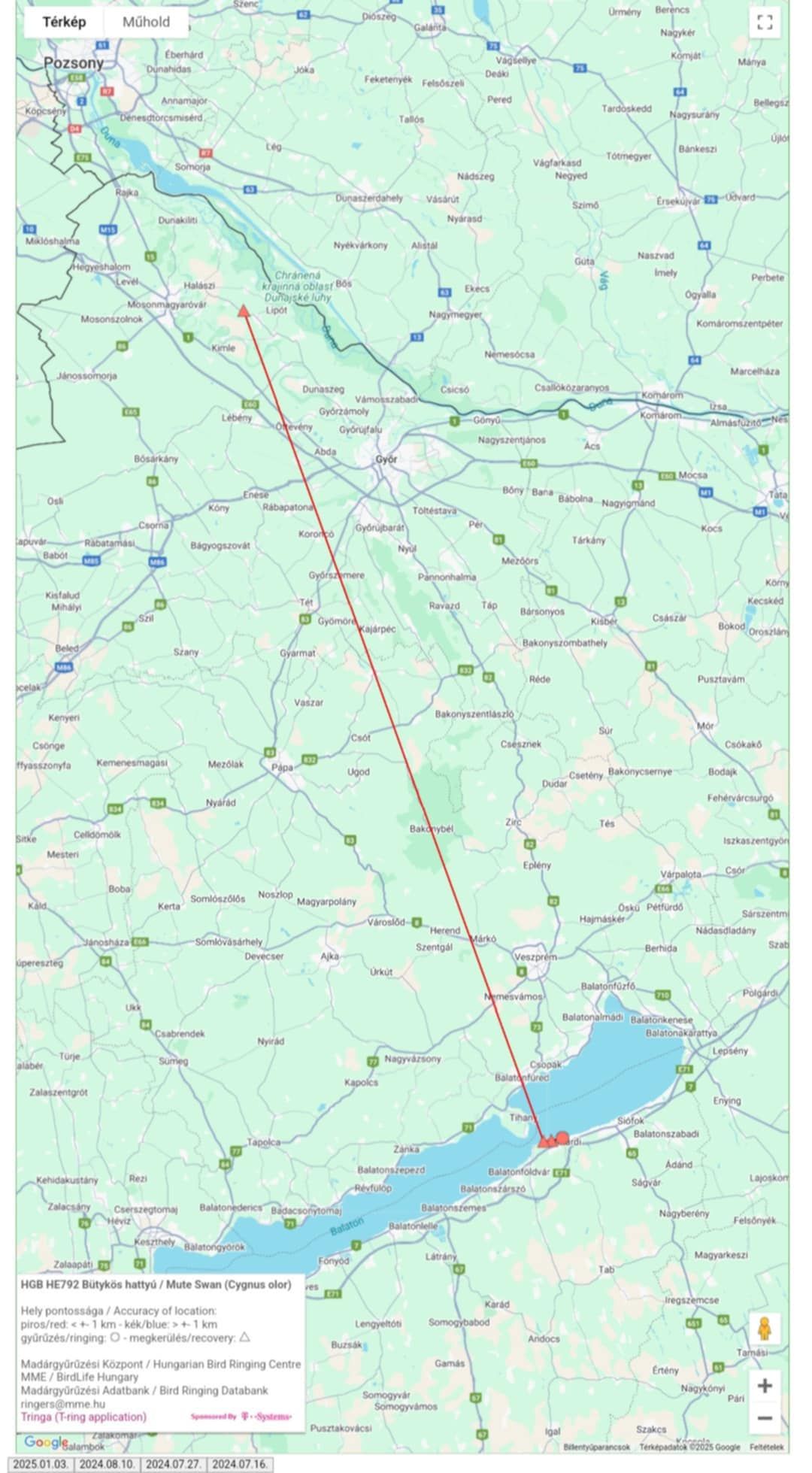 Térkép mutatja a megmentett hattyú