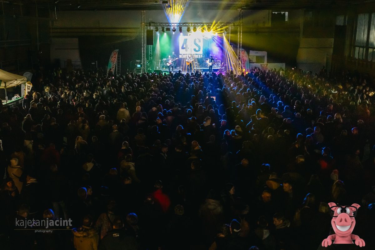 Fonyódi Kolbászfesztivál, rekord, látogatottság, 20 ezer ember, koncert