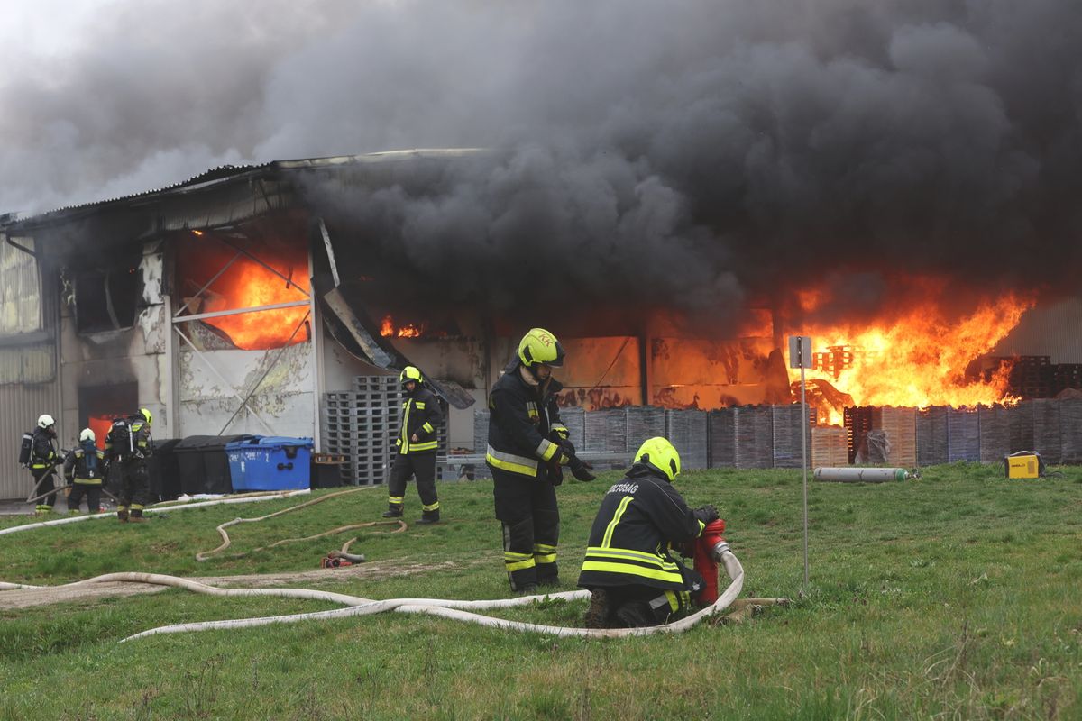 LANG1355 Tűz puszít a kadarkúti gesztenyeüzemben.