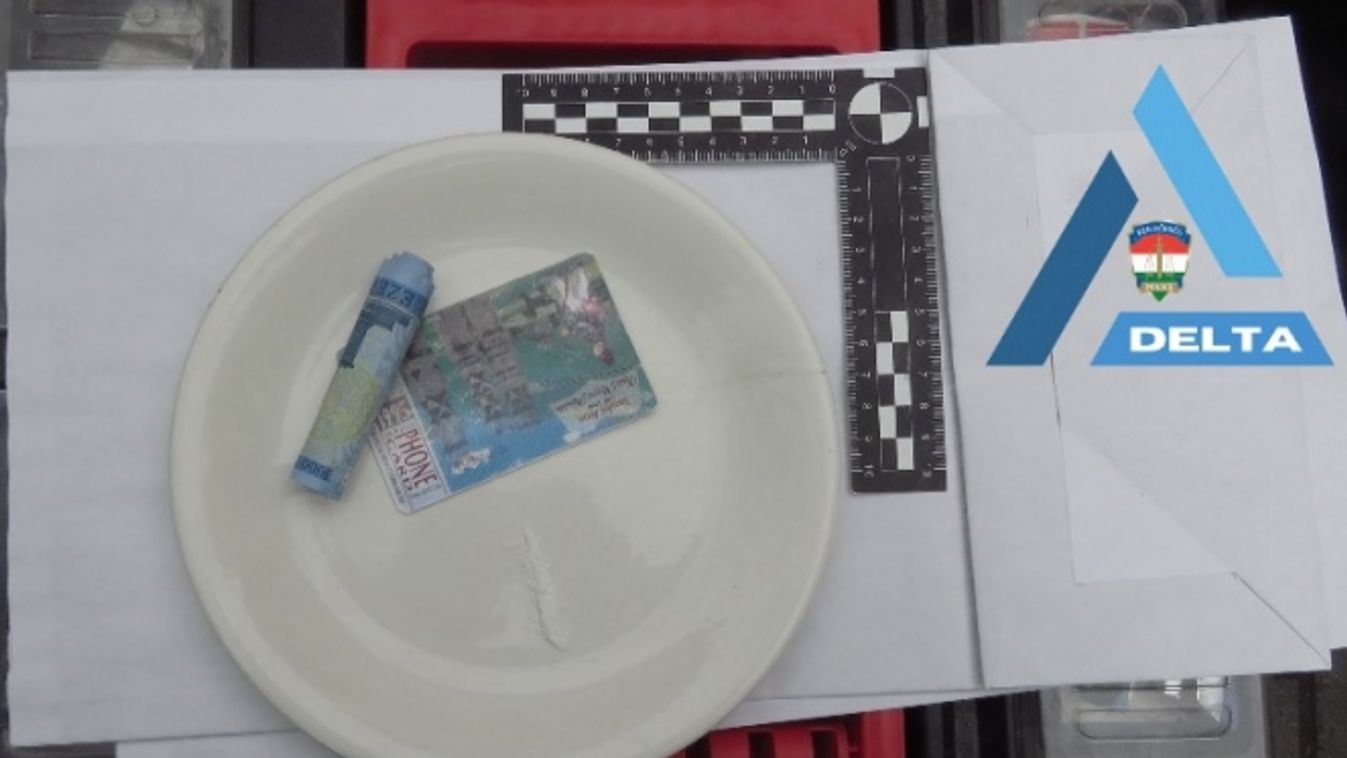 Biztos, ami biztos, szívott egy csík kristályt a sofőr az út előtt – jogsija sem volt