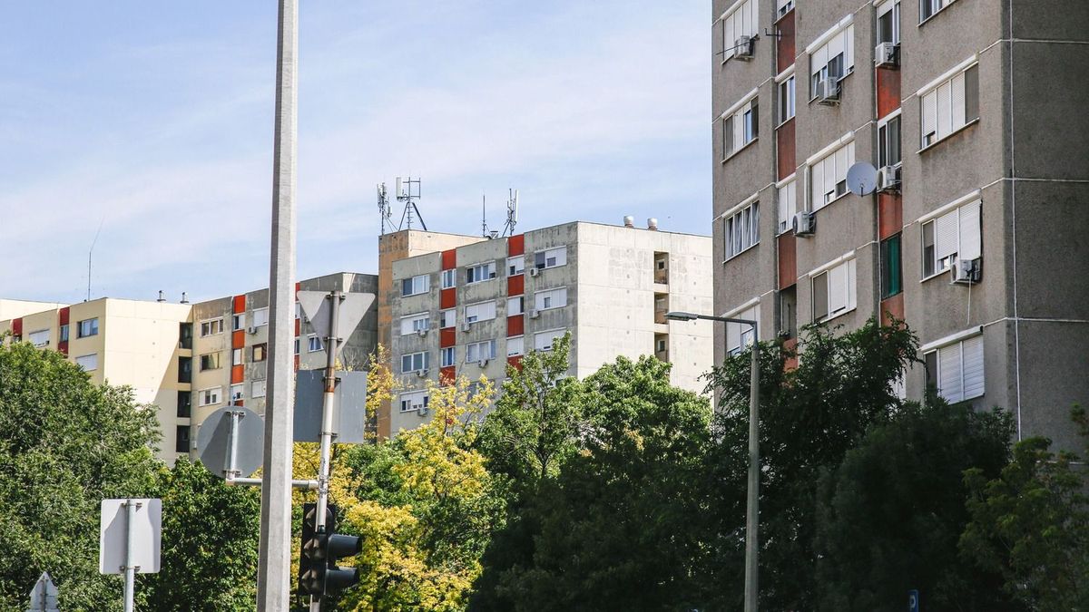 somogyi panel ingatlan