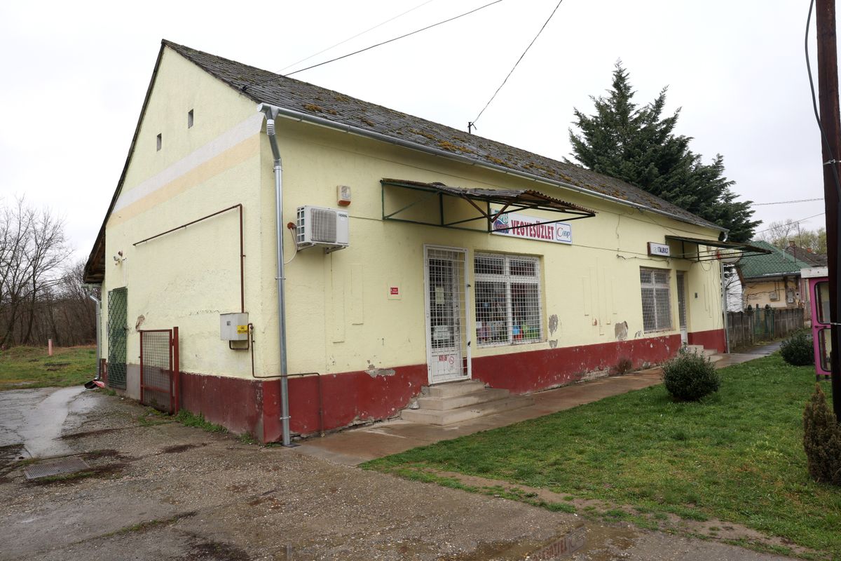 Fonói gyilkos
