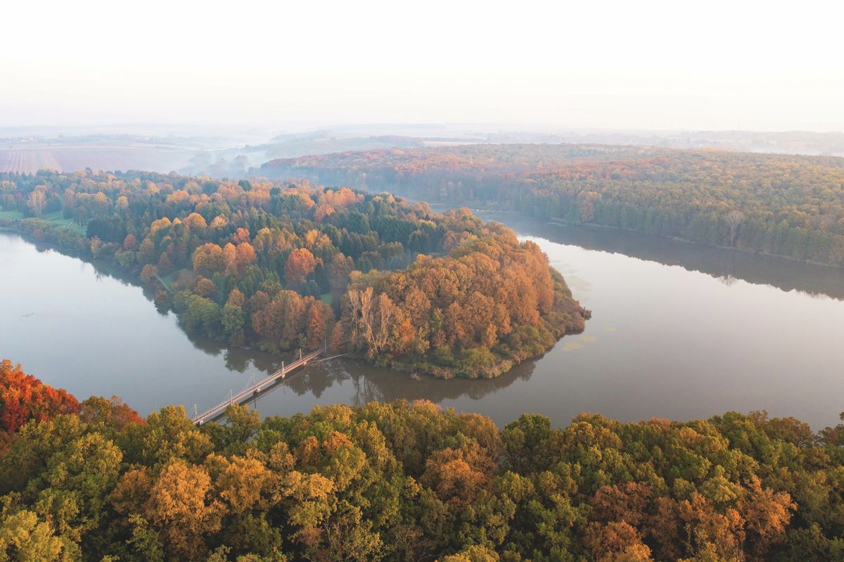 20241027_deseda_ősz_NL_sh_9
erdő