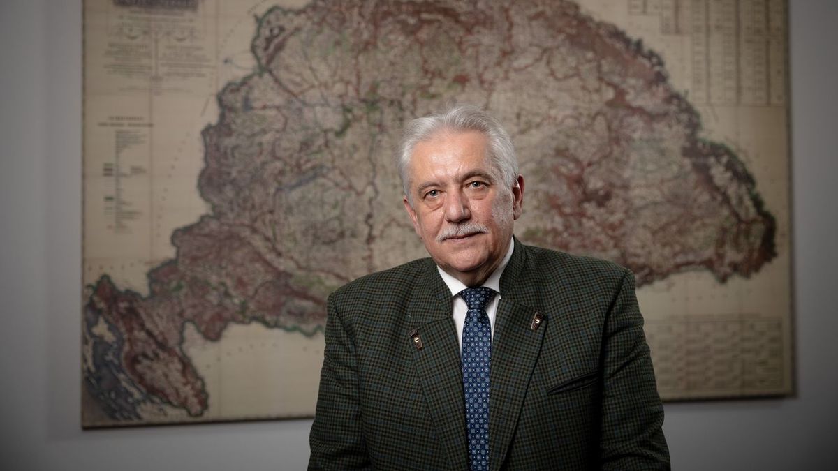 mocz andrás erdő somogy