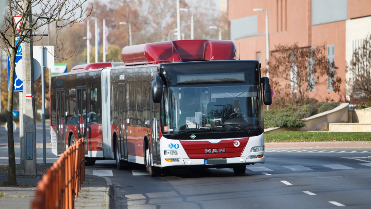 buszsofőr