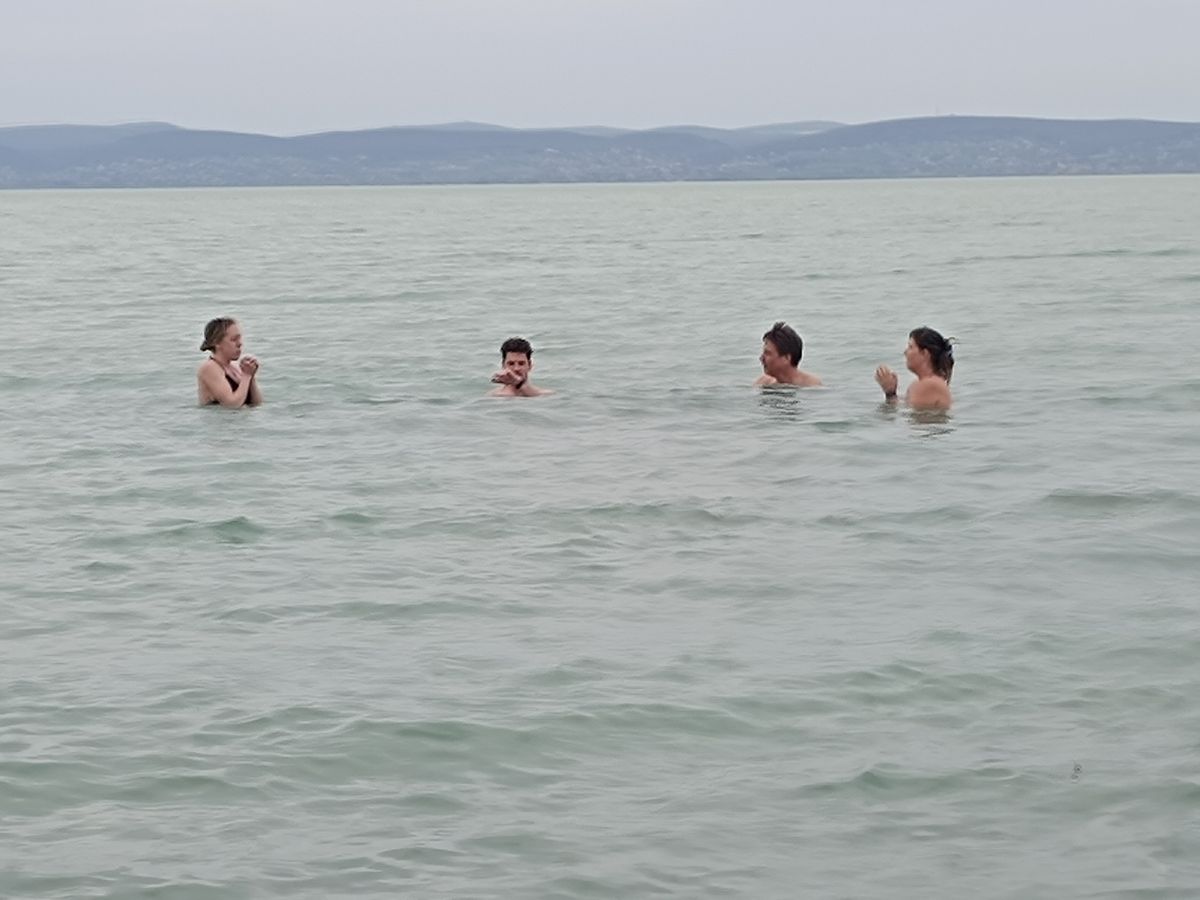 Siófoki Pingvinek a Balatonban