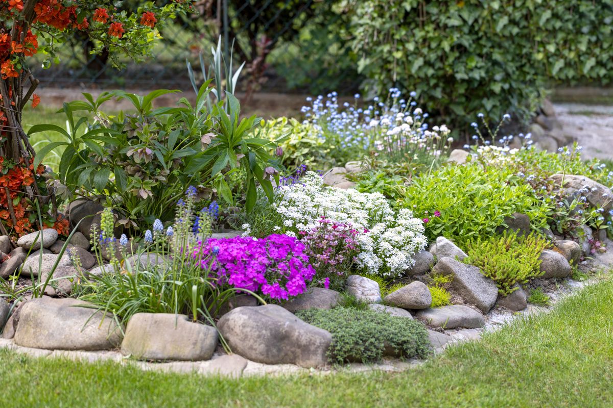 Beautiful,Colorful,Spring,Rock,Garden,,Blooming,Flowers