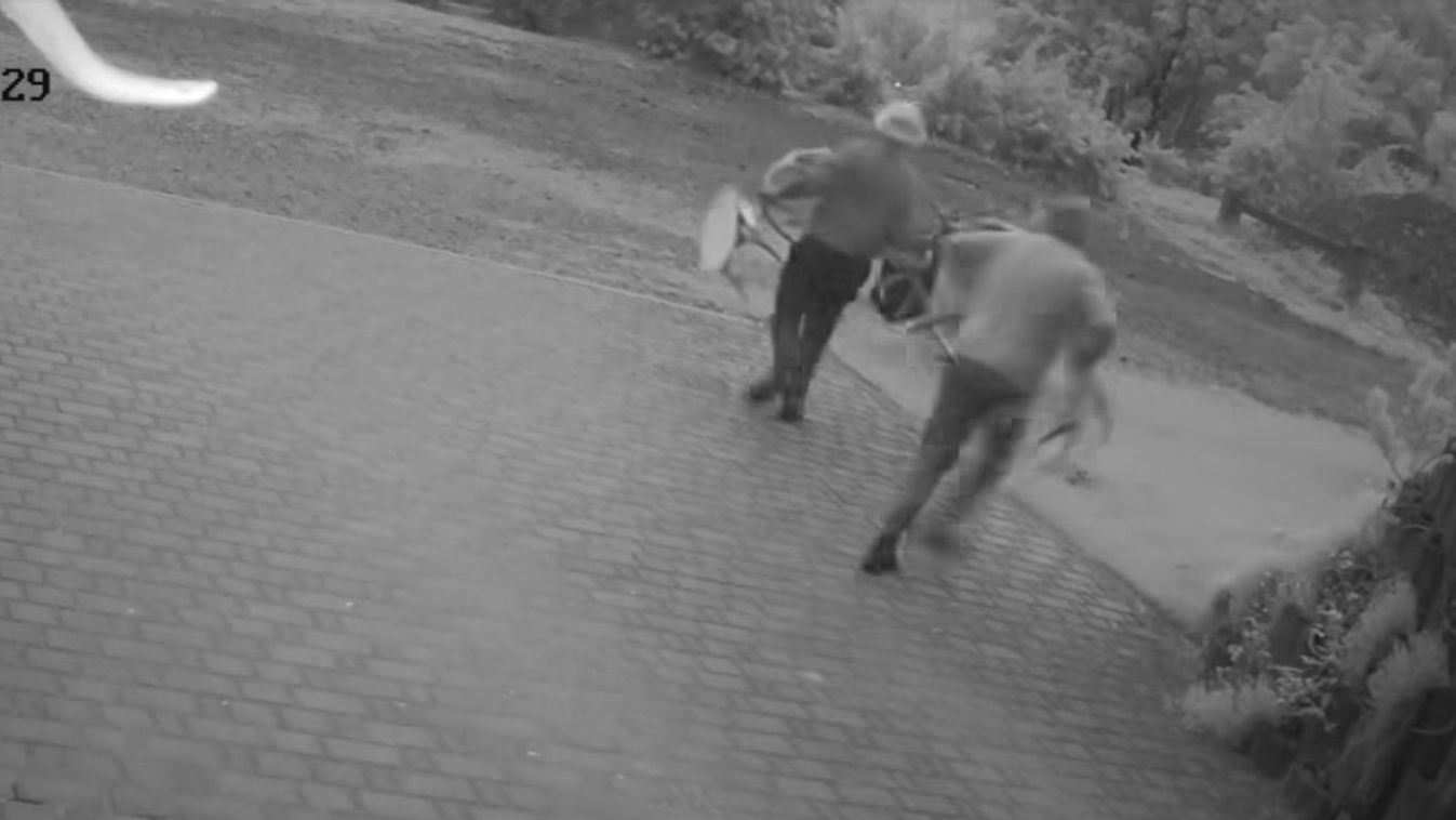 Pofátlan tolvajok: egyszerűen lelopták az értékes vadásztrófeákat – videó