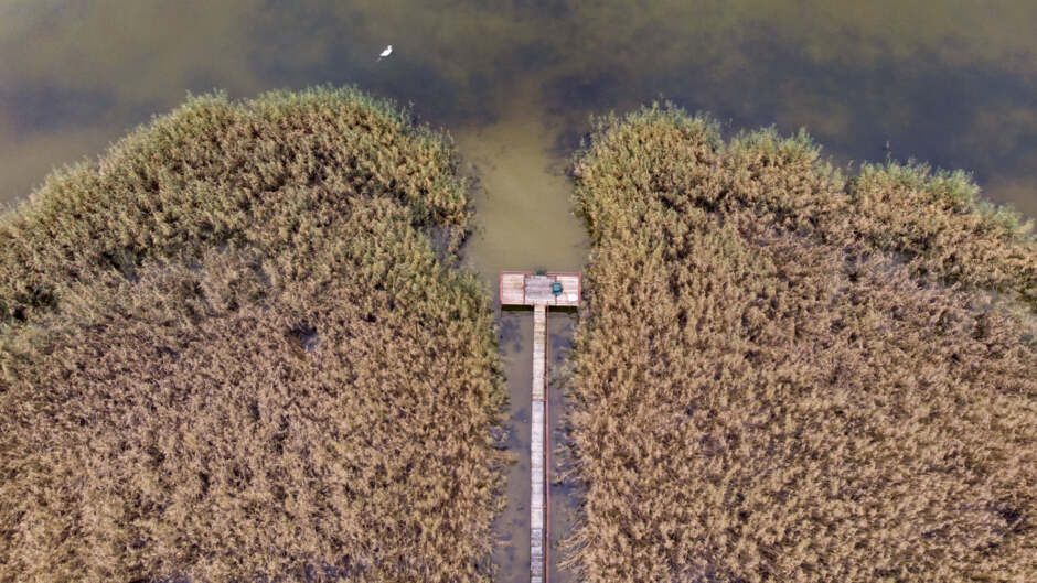 Illegális stég, Balaton,