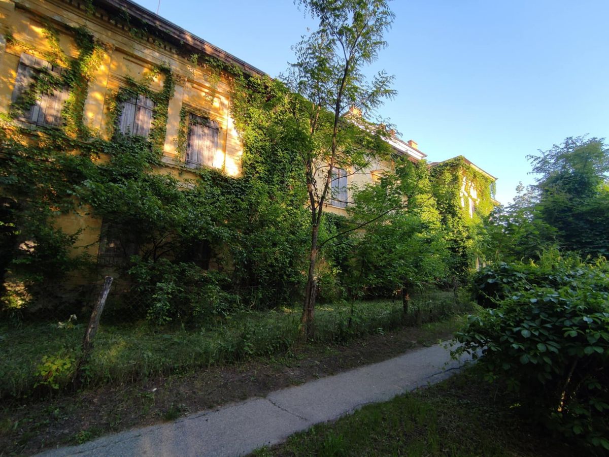 A Széchényi kastély egykoron bálok helyszíne volt, most az enyészeté