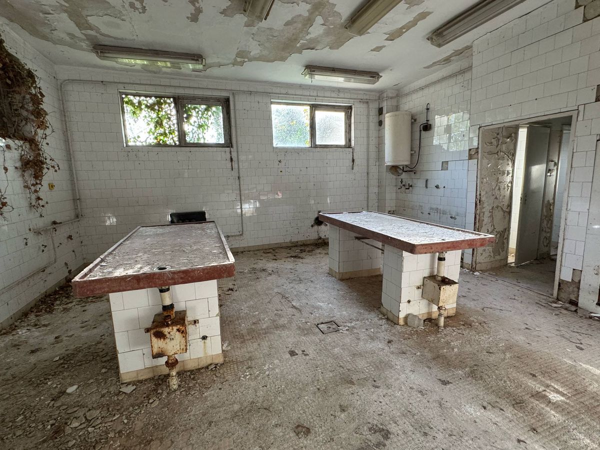 Somogyi kastély, urbex, boncterem,
