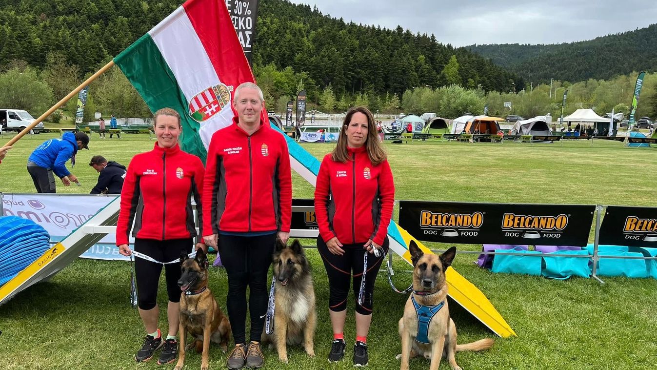 Tra, a szívdöglesztő malinois: Somogyban él a világ egyik leggyorsabb és legügyesebb belga juhásza
