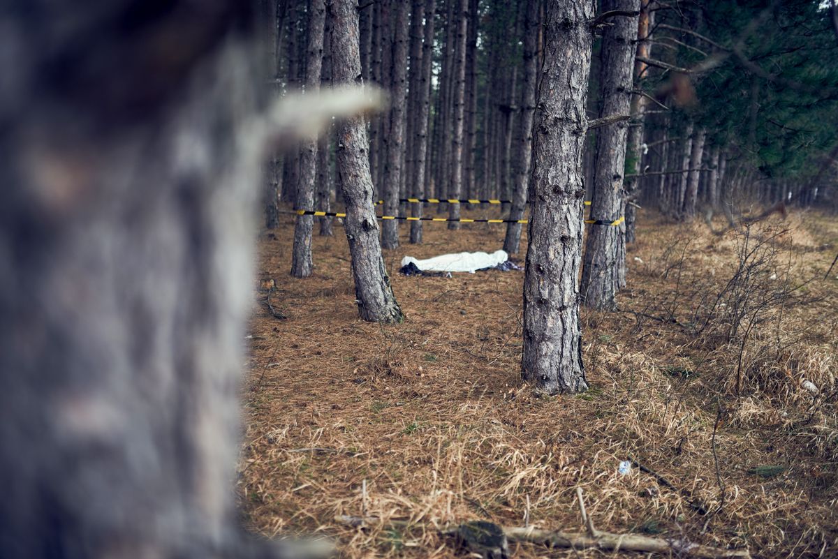 murder in the woods