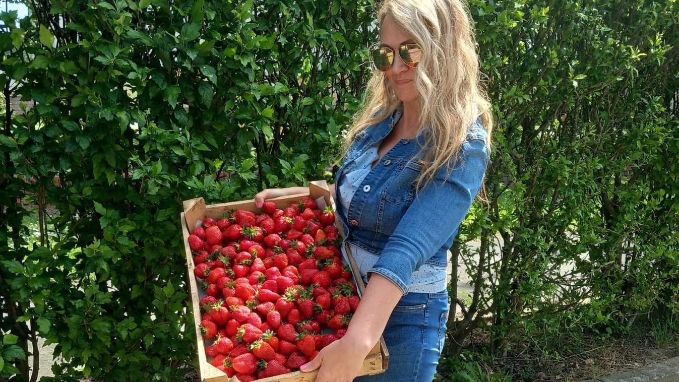 Már az eper sem a régi – mutatjuk, hogy vernek át az útszéli árusok