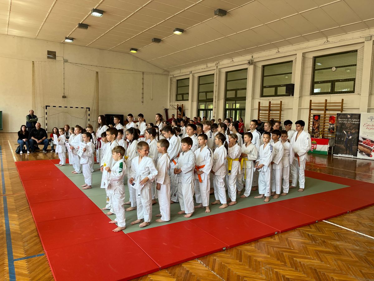 Hatvan jitsuka sorakozik fel a tatamin a III. Natan Kupa megnyitó ceremóniáján Kaposmérőben