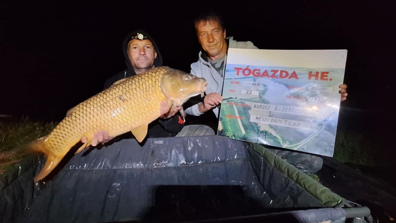 Hatalmas pontyok a horgon, alaposan belehúztak a horgászok a versenyen