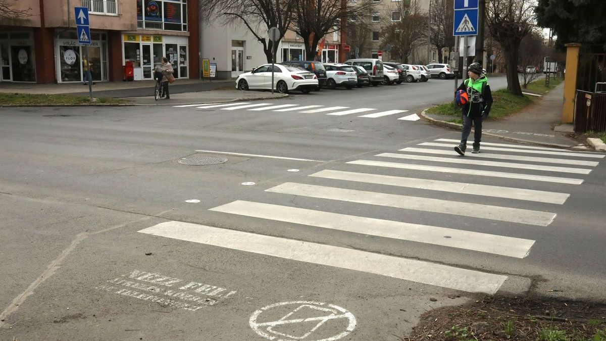 Ha okoszebrát szeretne Fonyódon, szavazzon!