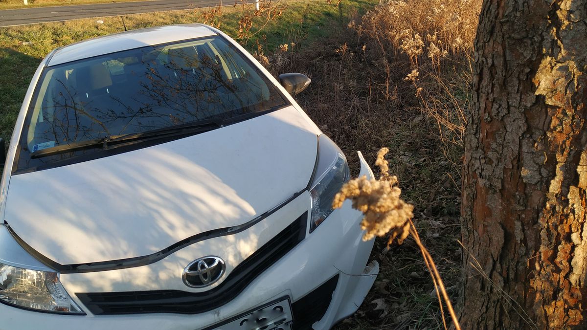 Két fának is nekiment egy részeg autós a parkolóban – nem aprózta el