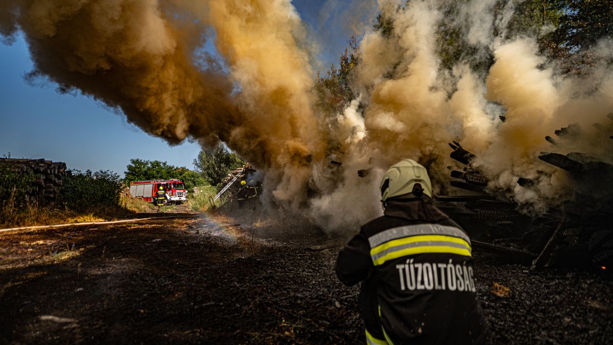 Megdöbbentő fotók: lángokban a barcsi fűrészüzem